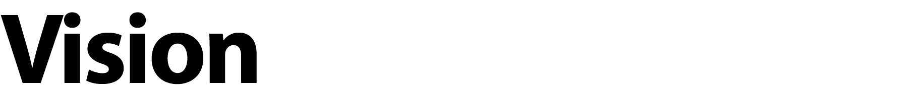 Vision 