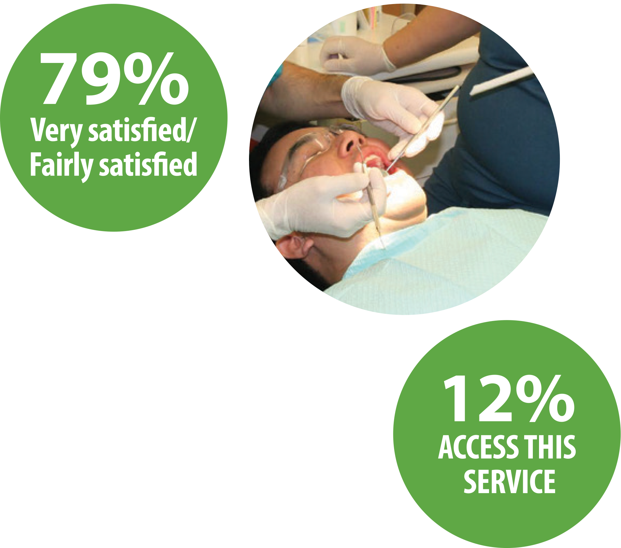 79% Very satisfied/Fairly satisfied | 12% Access this service