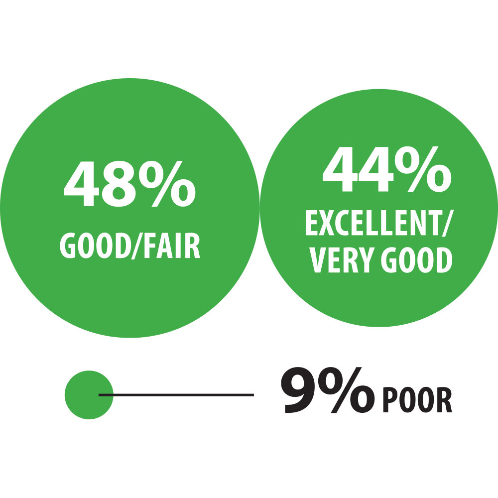 48% Good/Fair | 44% Excellent/Very Good | 9% poor
